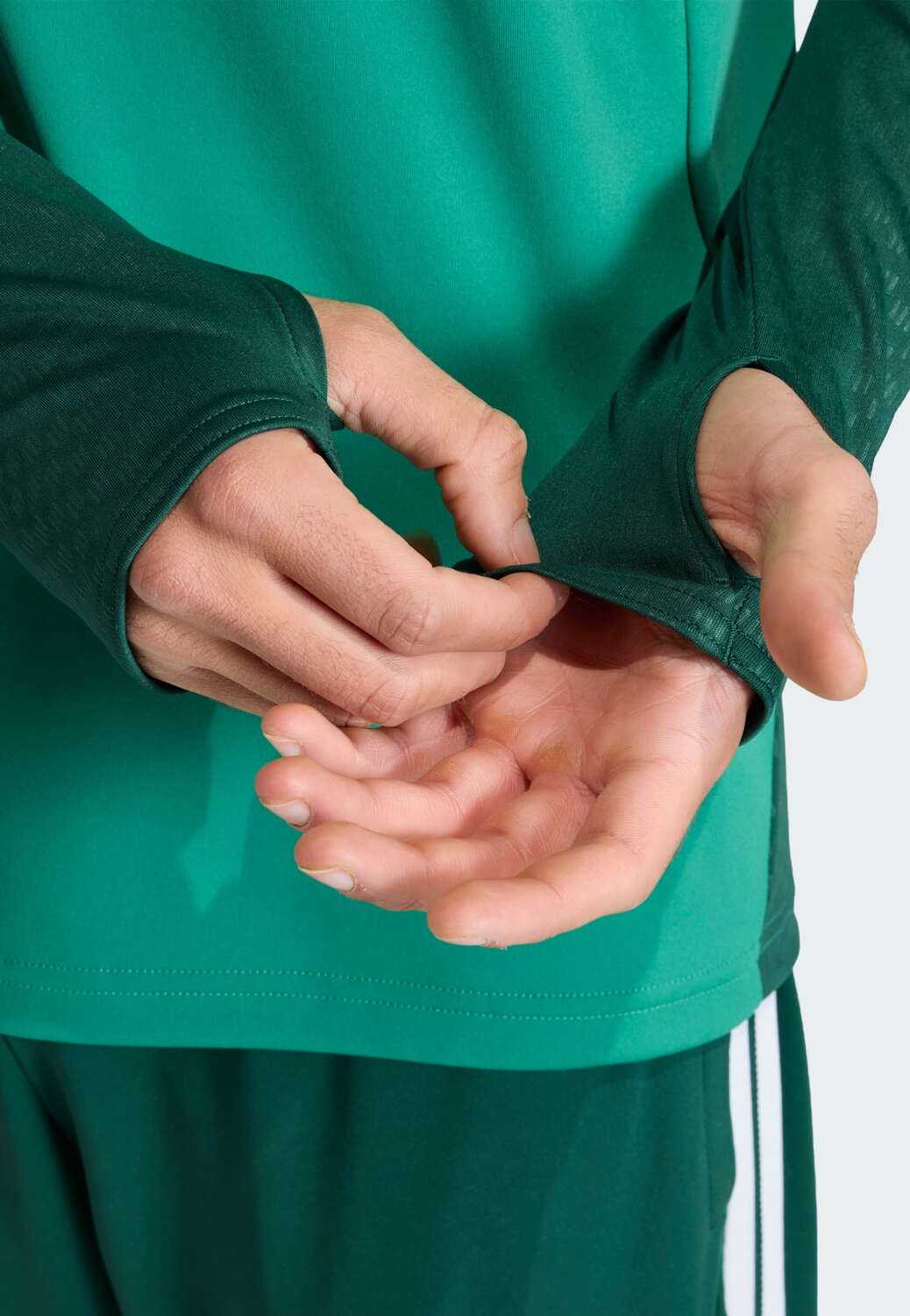Adidas Performance Джерси 'Algeria 26' в зеленом цвете, нефритовый — фото 4