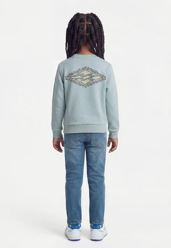 Унисекс толстовка foundation Billabong, White/Blue — фото 2