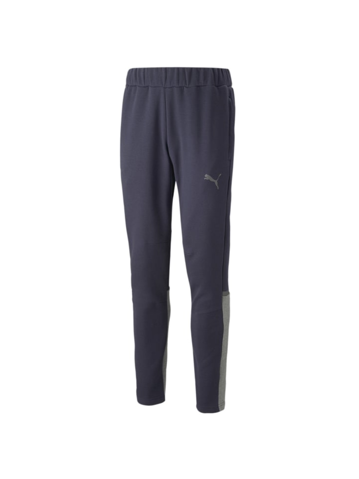 

Брюки для тренировок и бега Puma teamCup Jogginghose, синий