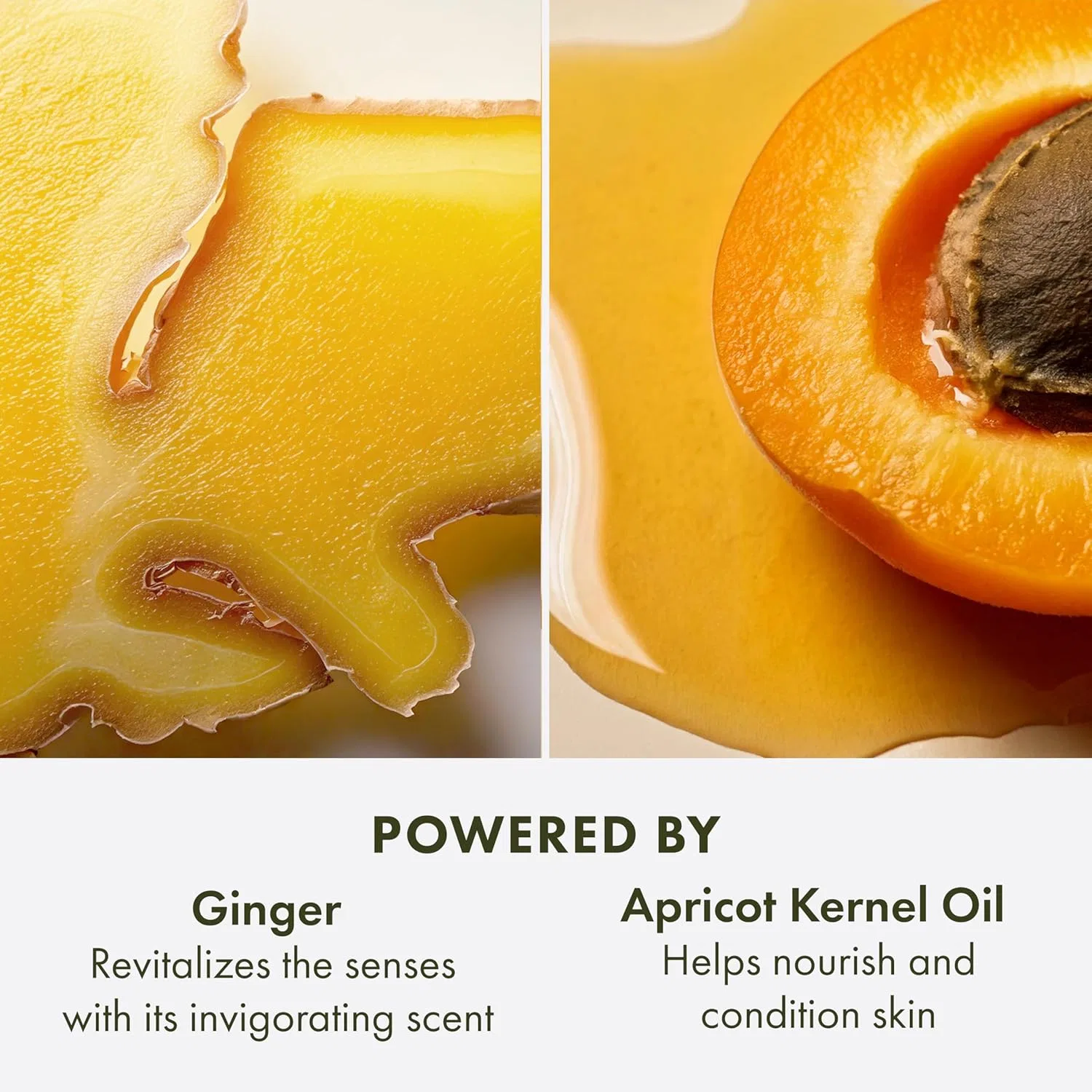 Взбитый крем для тела «Ginger Souffle» от Origins, 200 мл Origins — фото 4