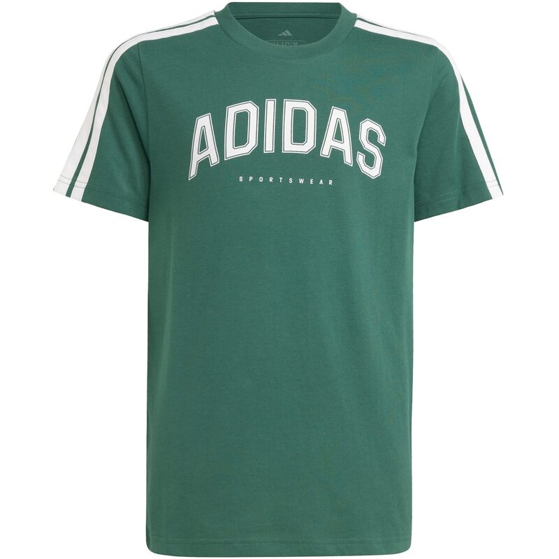 

Коды футболок для студенческой графики для детей Adidas, цвет cgreen