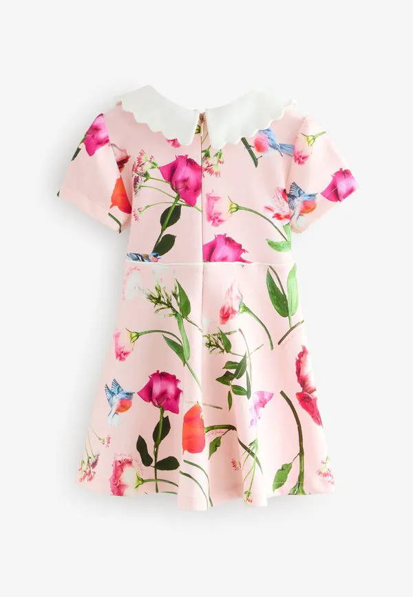 Платье повседневное с воротником и воротником стандартного кроя Baker By Ted Baker, Multi — фото 2