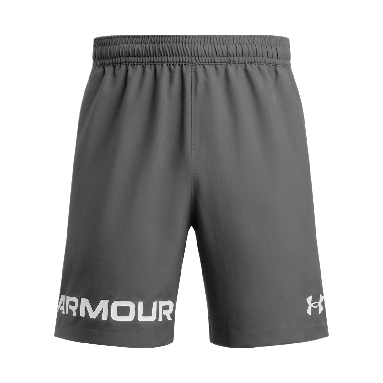 

Спортивные шорты мужские серые Under Armour, серый