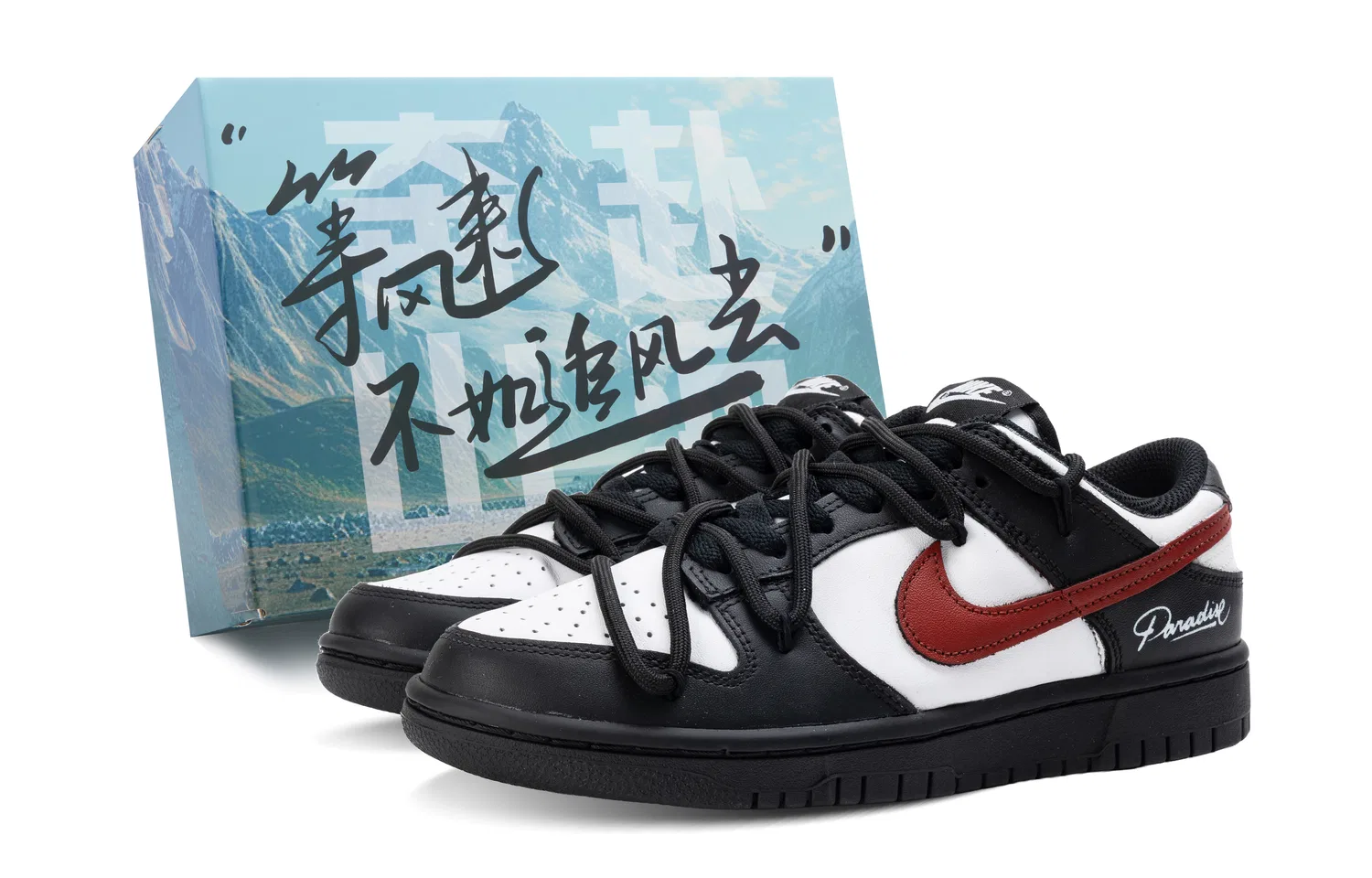 Кроссовки для скейтбординга Nike Dunk Competition Amusement Park Leather Low Top Black White Red
