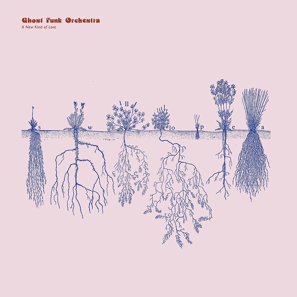 

Виниловая пластинка LP A New Kind Of Love - Ghost Funk Orchestra