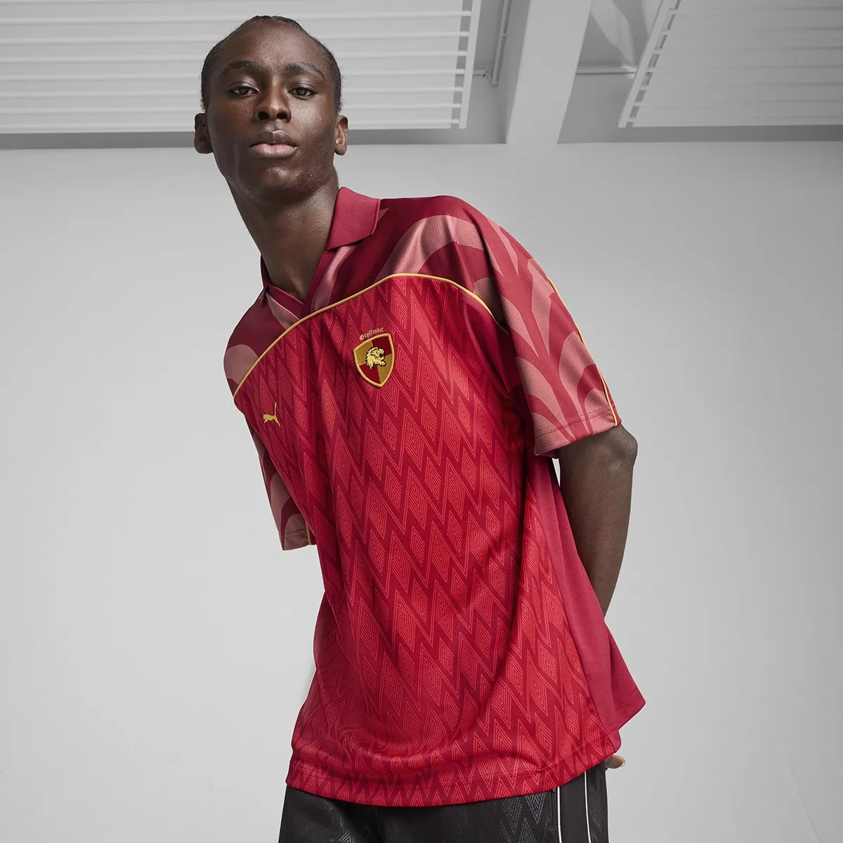 

Футболка мужская X HARRY POTTER расслабленного кроя Puma, красный