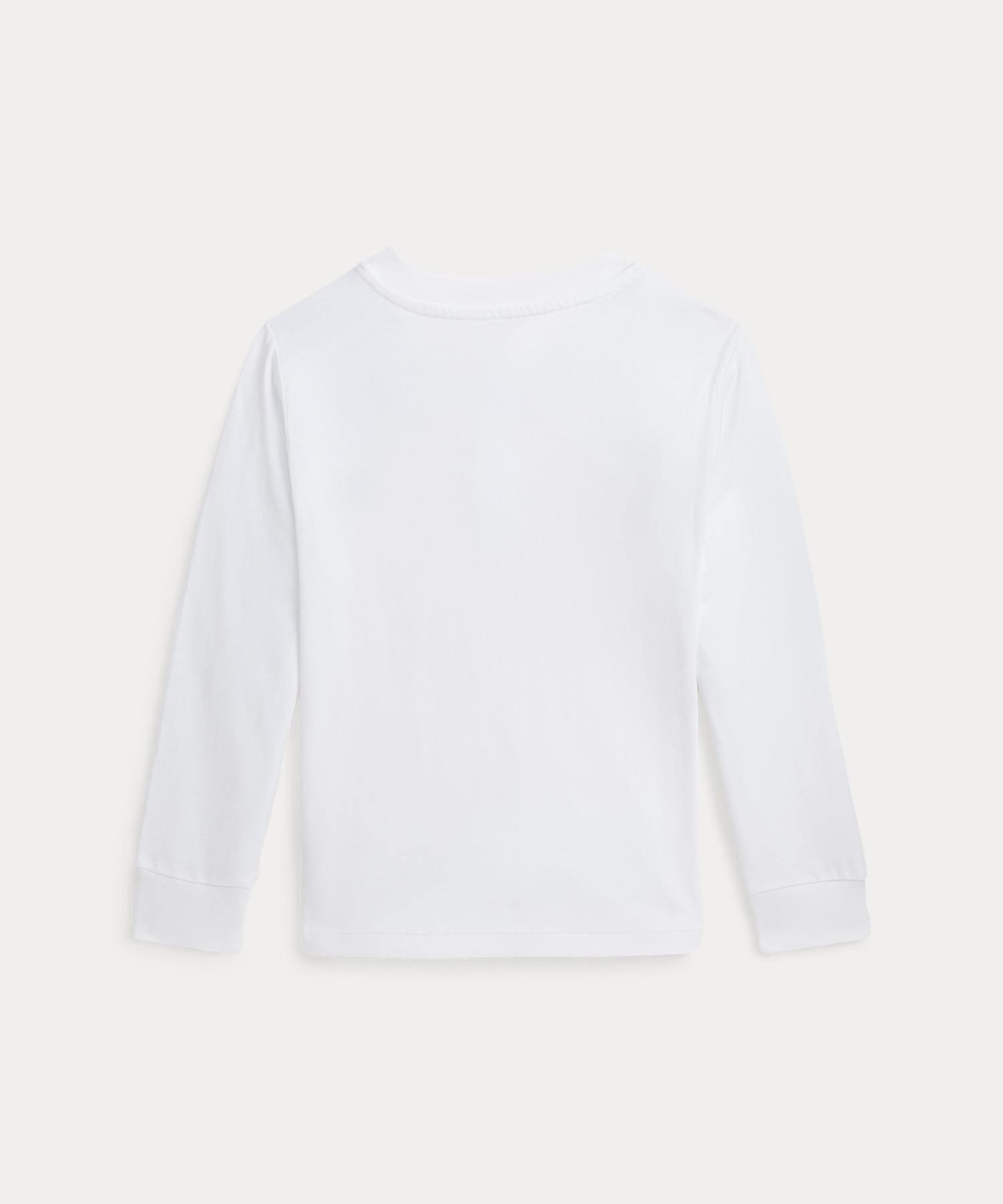 (Для мальчиков 2-7 лет) Хлопковая трикотажная рубашка-поло Polo Ralph Lauren, 100 White — фото 2