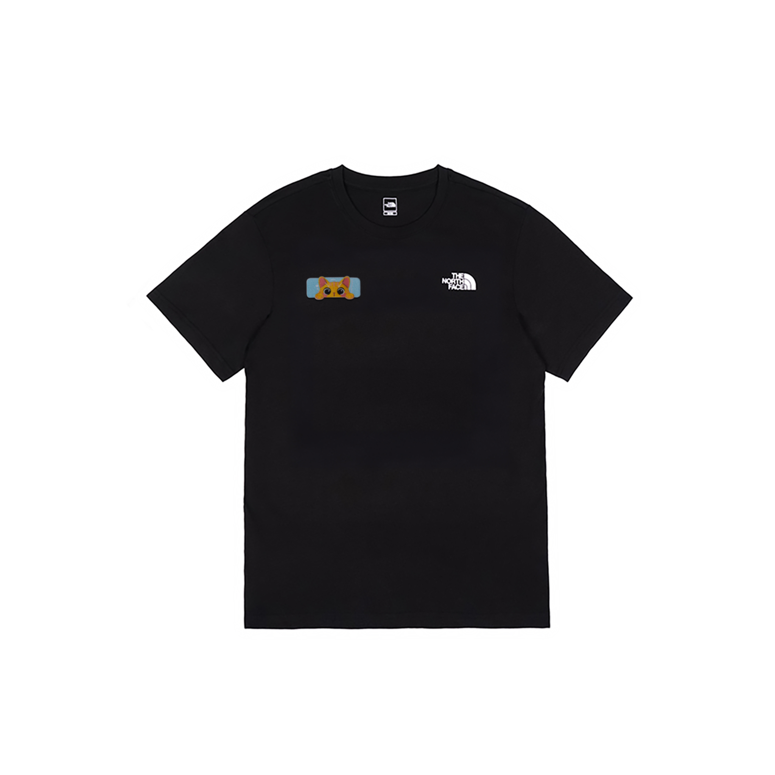 

THE NORTH FACE Футболка мужская черная, Черный, THE NORTH FACE Футболка мужская черная