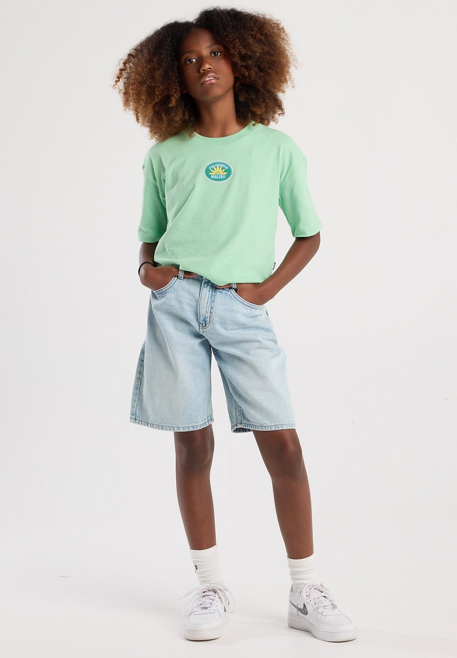 

Футболка America Today Print T-shirt, Cellery/Green, Зеленый, Футболка America Today Print T-shirt, Cellery/Green