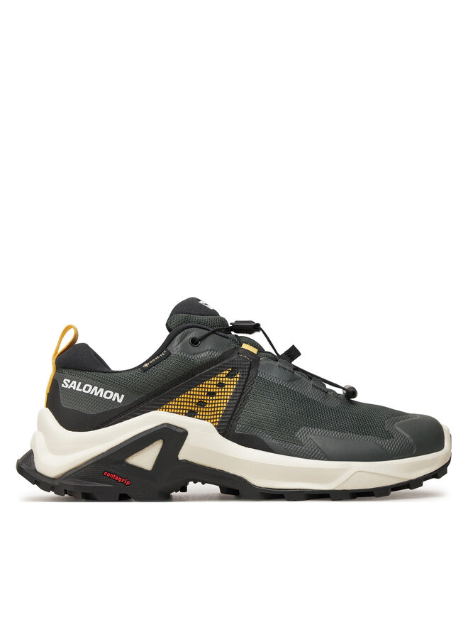 

Треккинговые кроссовки X Raise Gore-Tex L47458200 Salomon, зеленый