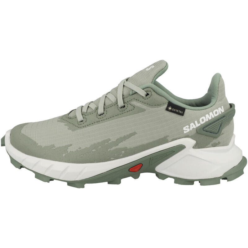 

Женские кроссовки Alphacross 4 GTX SALOMON, цвет gruen