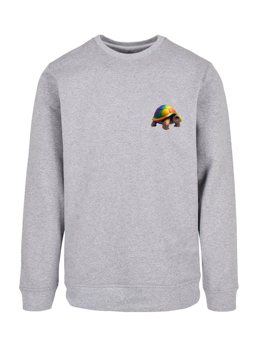 

Свитер F4NT4STIC Sweatshirt Rainbow Turtle, серый