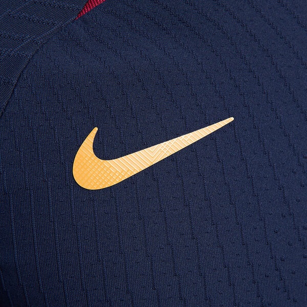 Футболка dri fit adv paris saint germain Футболка Nike, синий — фото 4