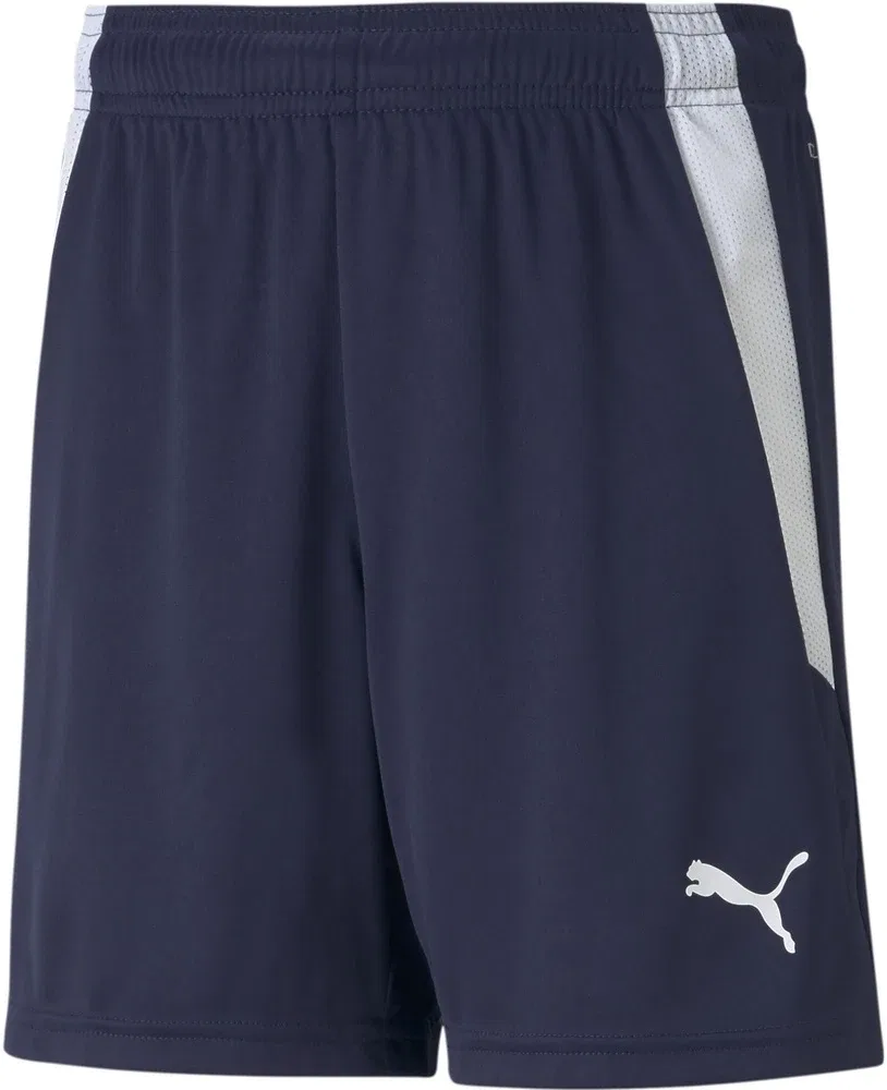 Шорты функциональные Puma, синий