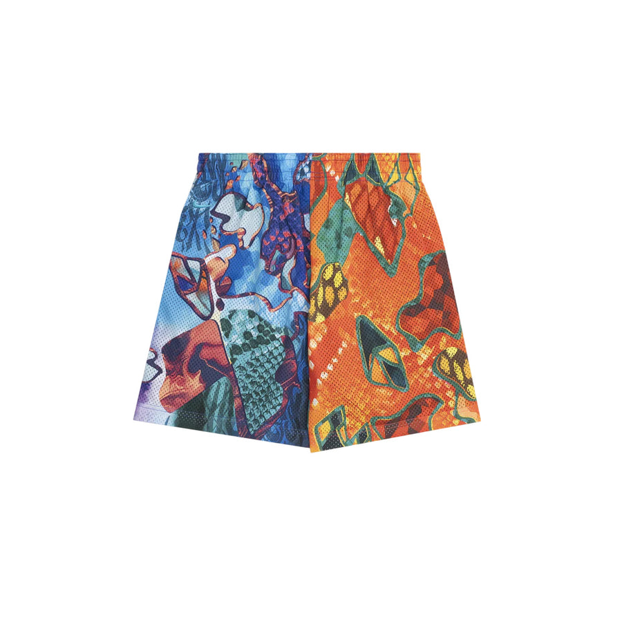 Спортивные шорты Nike Kobe Dri-FIT Reversible 6 inch Basketball Shorts Asia Sizing 'What The', разноцветный — фото 2