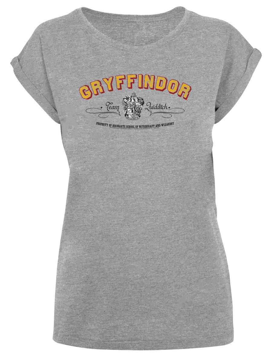 

Футболка F4NT4STIC Shirt Harry Potter Gryffindor Team Quidditch, серый