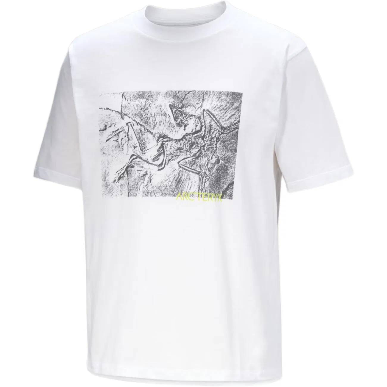 Мужская футболка с принтом Kragg Graphic Arcteryx, Lt Moondrop — фото 2