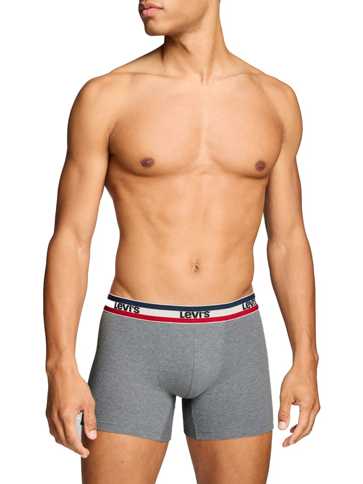 Levi´s Боксерские шорты LEVIS MEN REPEAT SPW LOGO BOXER BRIEF 2P в темно-синем/сером меланже — фото 4