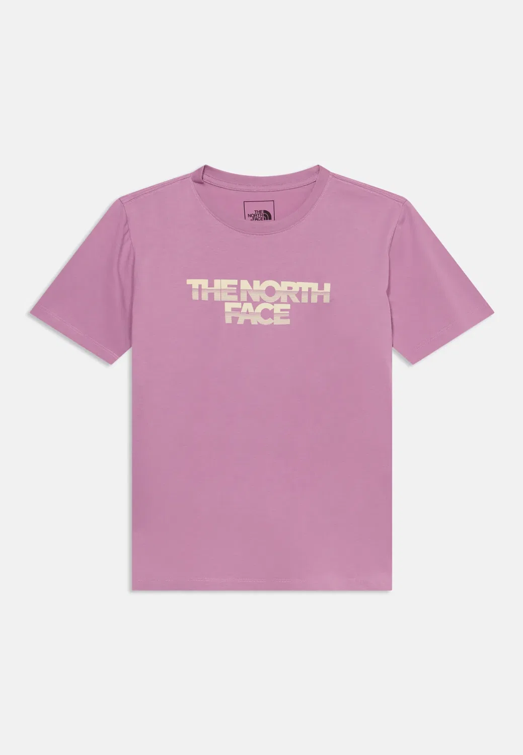 Футболка Chalbi с графическим принтом, унисекс The North Face, Hushed Lavender — фото 3