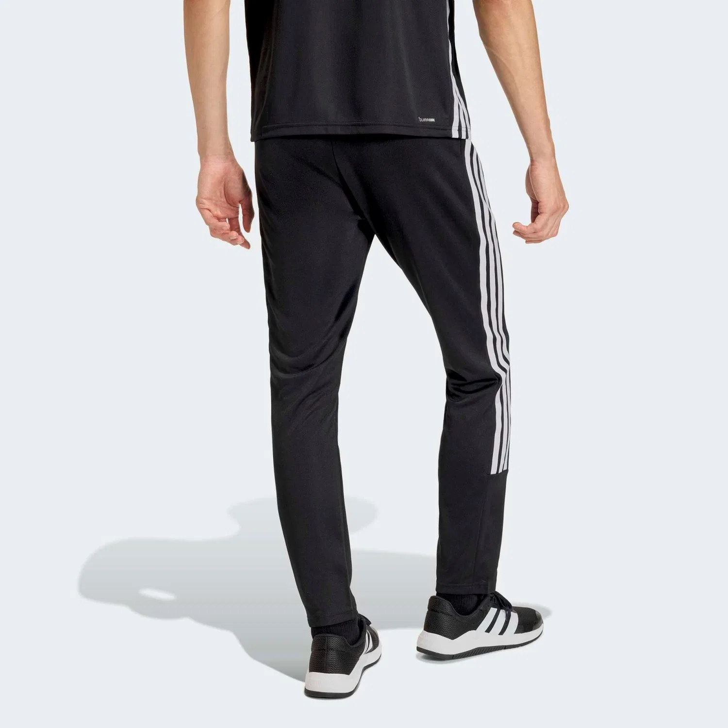 Мужские спортивные штаны с зауженным кроем Adidas, Schwarz — фото 3