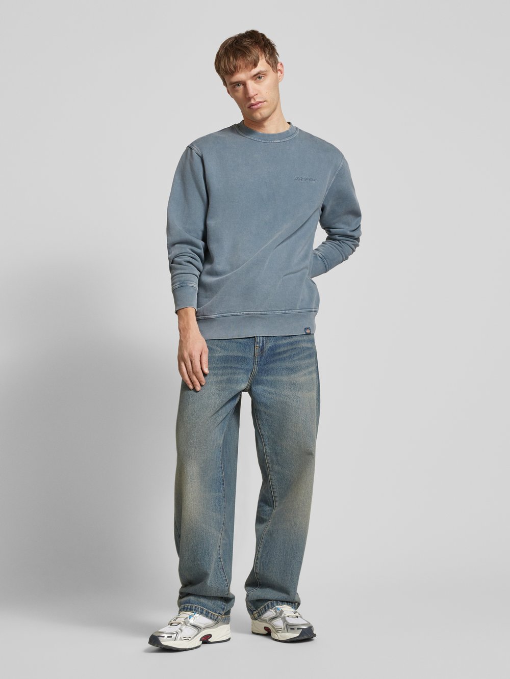 

Свитшот с вышитой этикеткой, модель 'PLENTYWOOD' Dickies