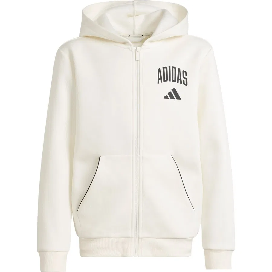 Худи с капюшоном и длинным рукавом, модель Seasonals Collegiate Typography, adidas, Бело-черный — фото 3