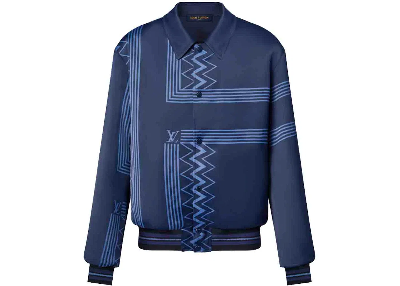 Мужская куртка с принтом Karakoram Souvenir Jacket Louis Vuitton, Indigo