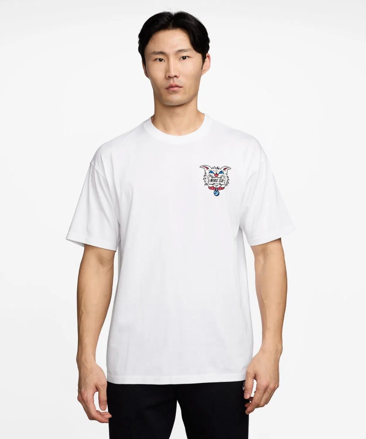 Мужская футболка с коротким рукавом Nike SB M90 Skate Char S/S NIKE, Белый