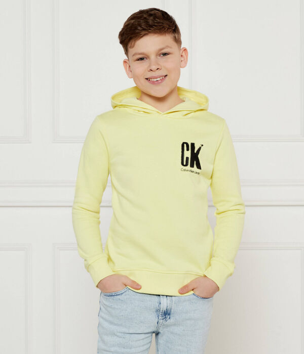 

Свитер Regular fit Calvin Klein Jeans, желтый