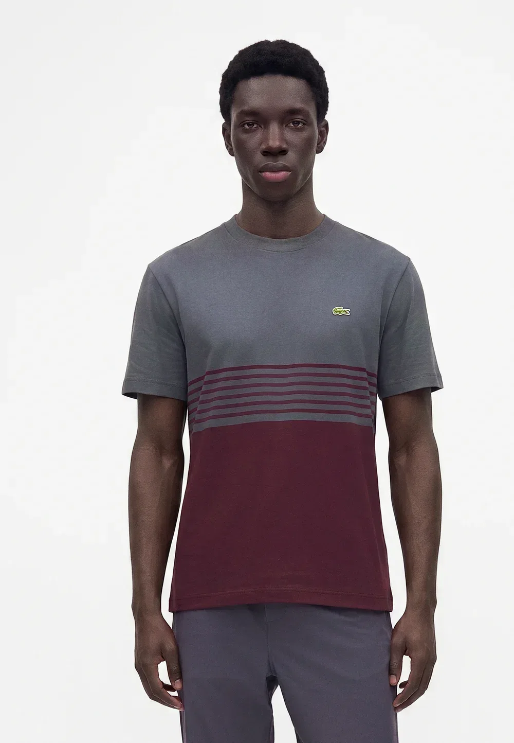 Футболка с принтом Lacoste, Graphite/Oxalis