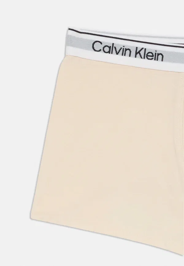 Комплект боксеров 2 шт Calvin Klein Underwear, белый/серый/малиновый/шоколадный — фото 4