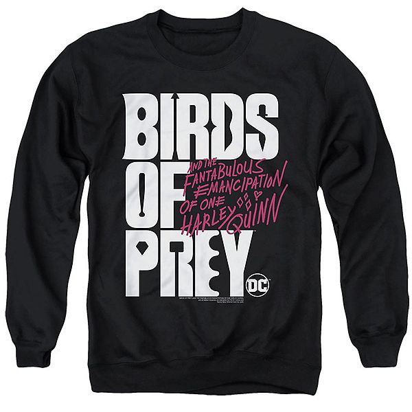 

Толстовка с логотипом Birds of prey Licensed Character