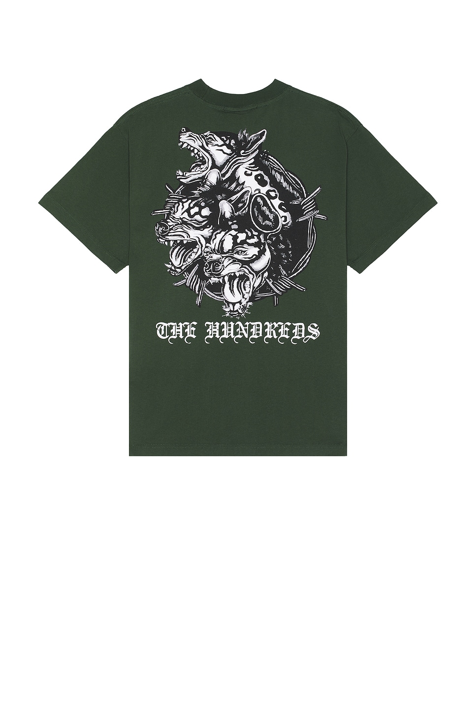 

Футболка с изображением гнева фараона The Hundreds, зеленый