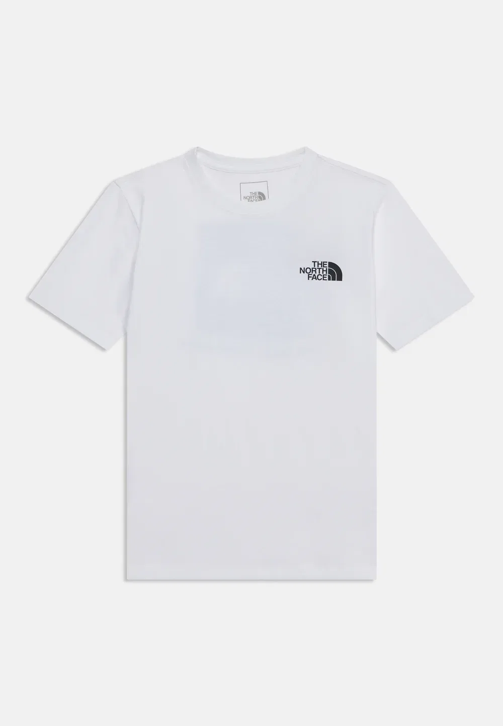 Футболка унисекс с принтом Teen Evolution Box Tee The North Face, White