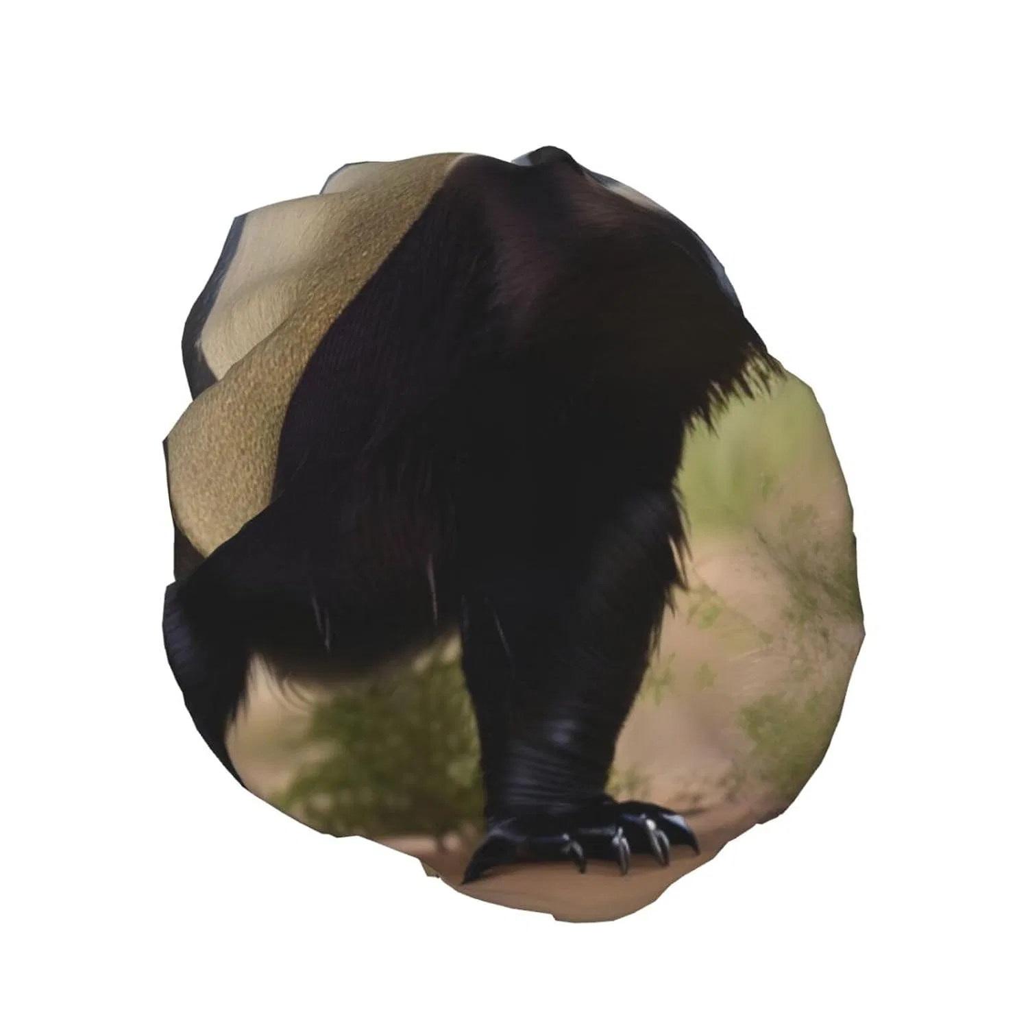 Двухслойная водонепроницаемая шапочка для душа FRESQA, Sweet Honey Badger — фото 2