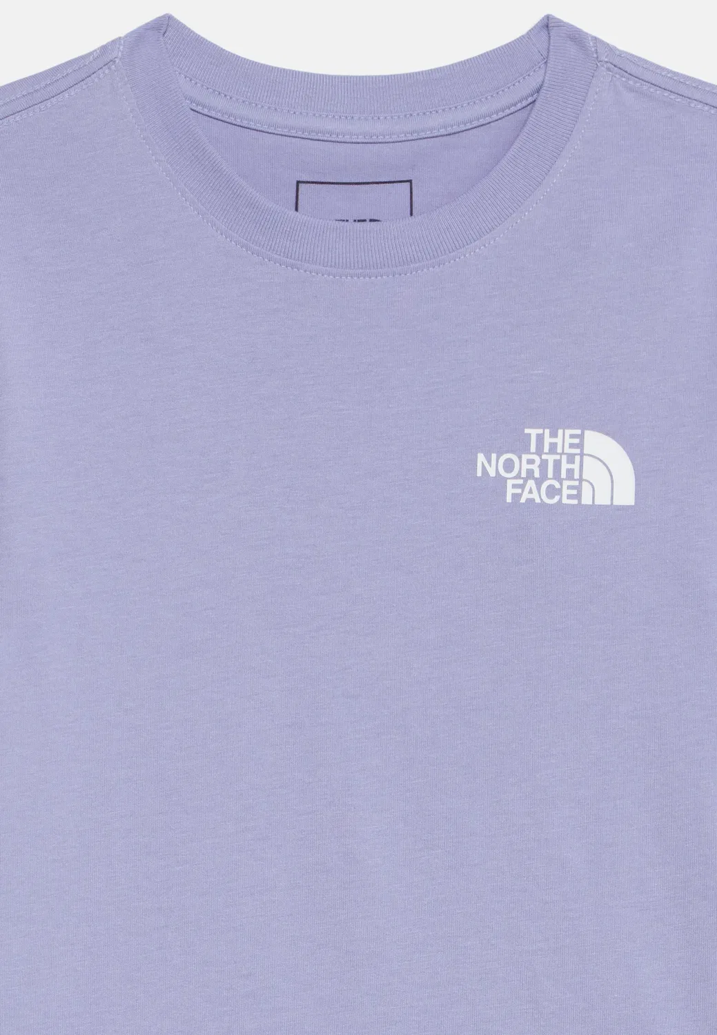 Футболка унисекс с принтом Teen evolution box The North Face, Pale Plum — фото 3