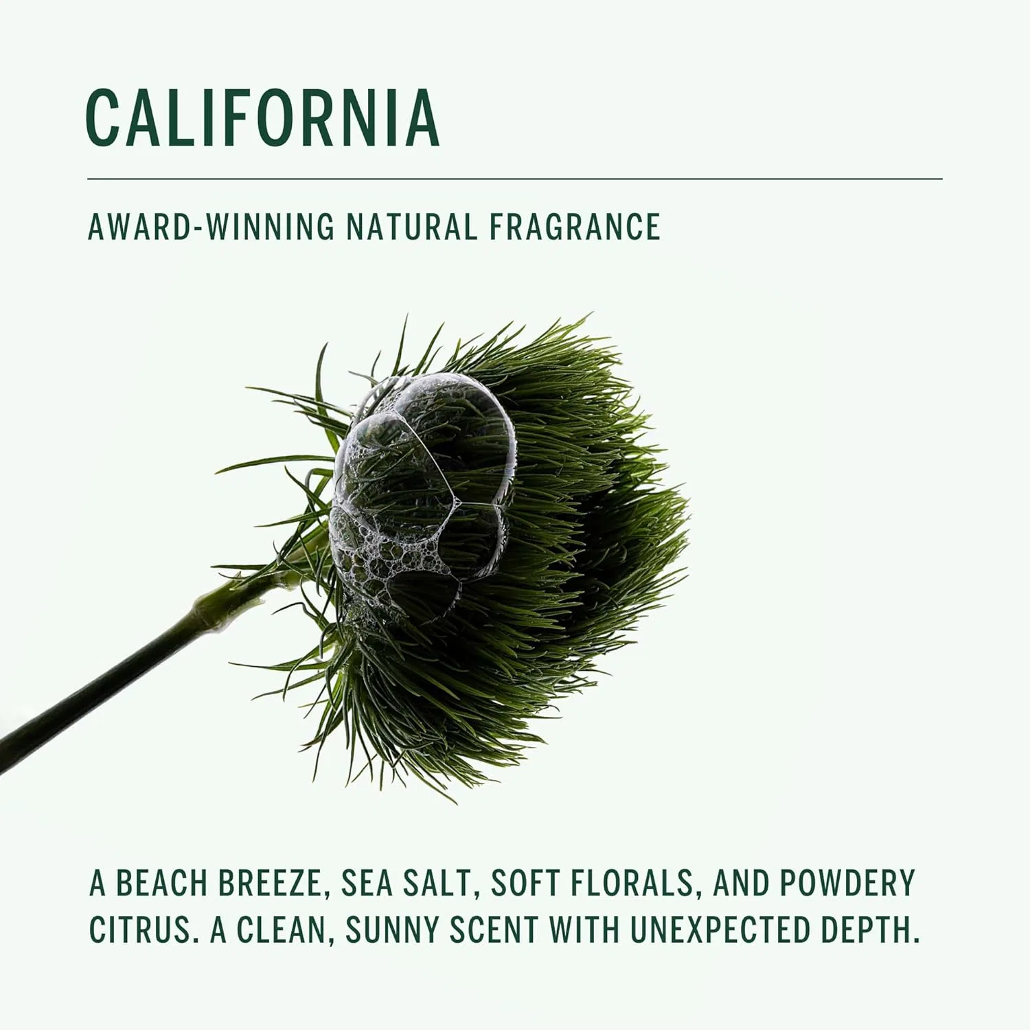 Дезодорант Corpus Natural California Deodorant Stick, 75 мл — фото 4