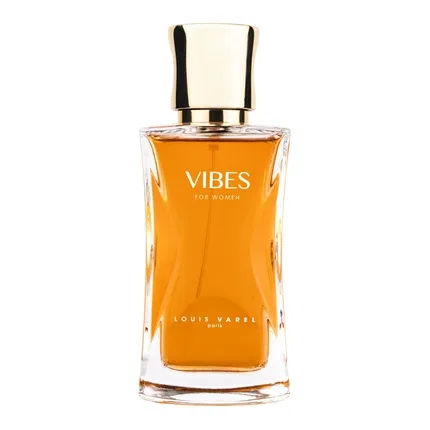 Парфюмерная вода Louis Varel Vibes, 100 мл