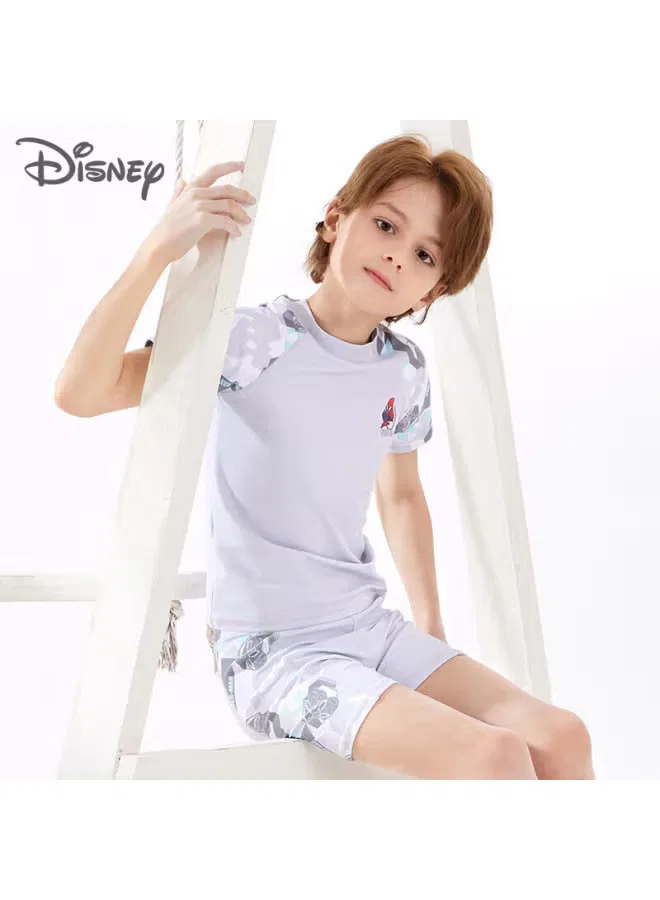 Комплект плавок для мальчиков быстросохнущий Disney, серый