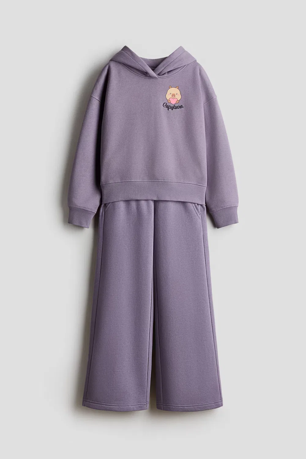 Комплект из двух толстовок с рисунком H&M, Dunkelflieder/Capyfun