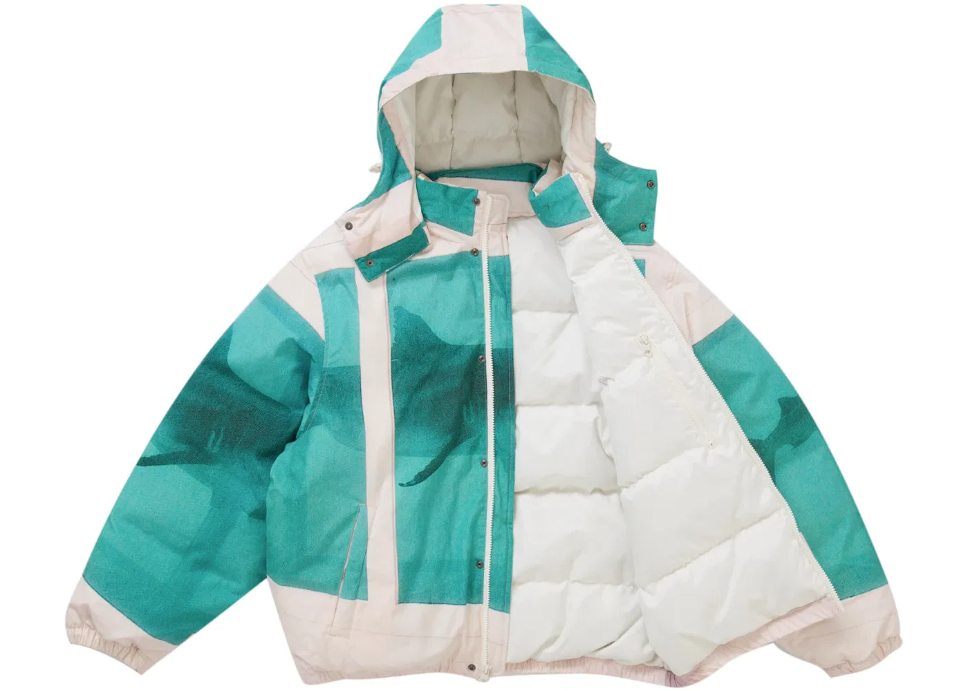 Мужская куртка-пуховик с принтом Supreme Damien Hirst Down Puffer Jacket, White — фото 2