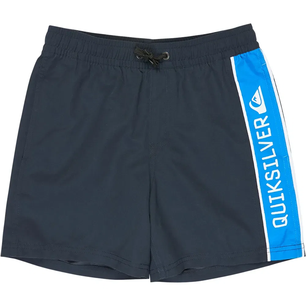 Детские плавки для мальчиков с принтом Everyday Clicker Volley 15 Quiksilver, Blue
