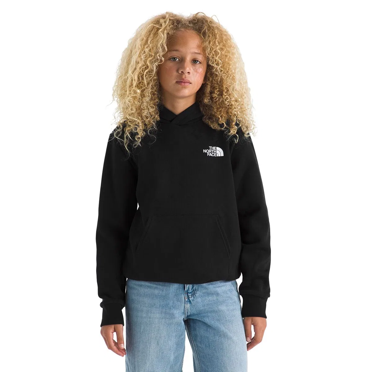 Детский свитшот-худи с принтом Evolution Box NSE Pullover The North Face, Tnf Black — фото 2