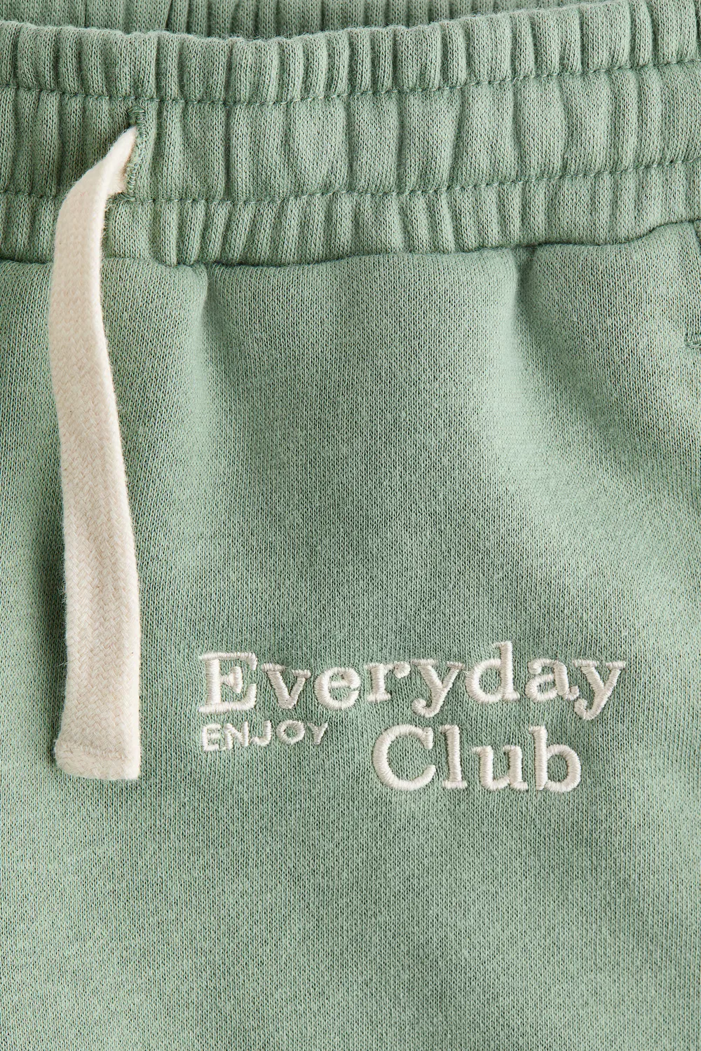 Спортивные штаны с вышивкой H&M, Grün/Everyday Club — фото 2