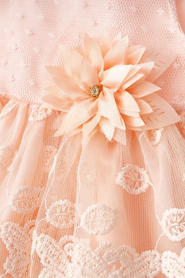Детское платье для девочек с коротким рукавом Mevlüt Dress Generic Brands, Powder — фото 2