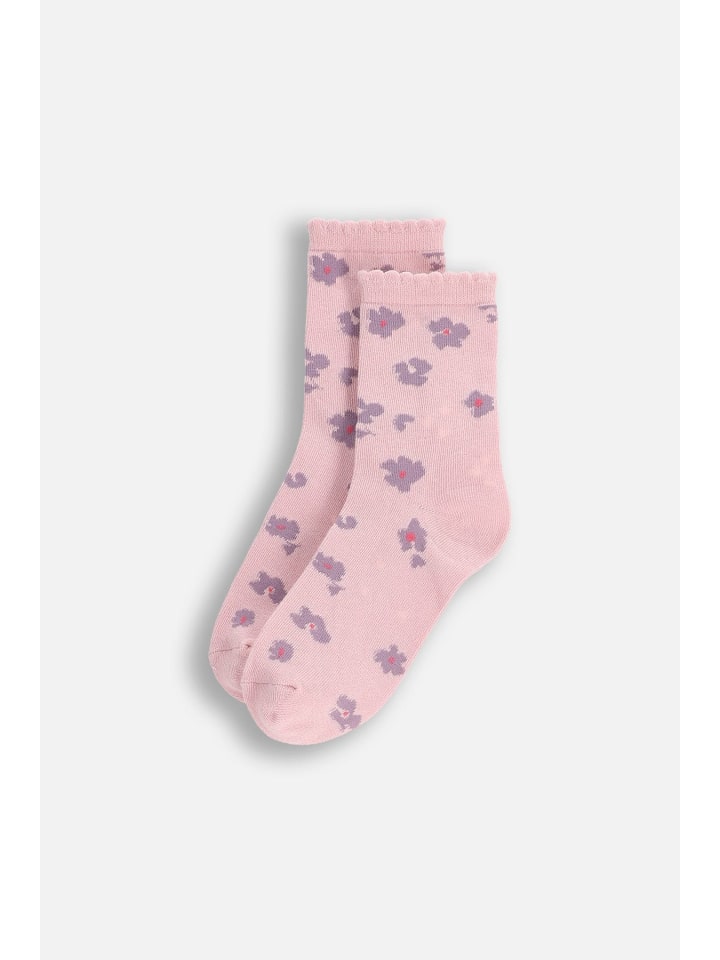 

Coccodrillo Разноцветные носки