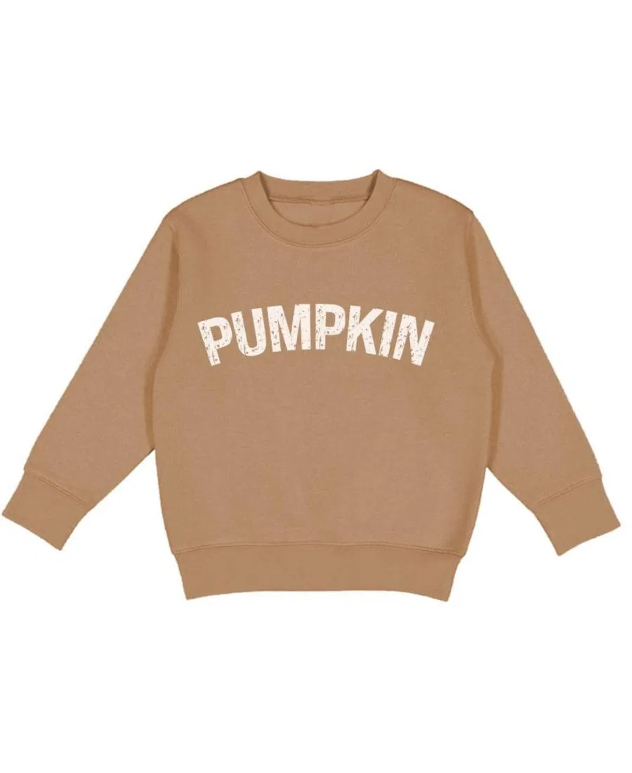 Детский свитшот с принтом Pumpkin Sweatshirt Sweet Wink, Mocha