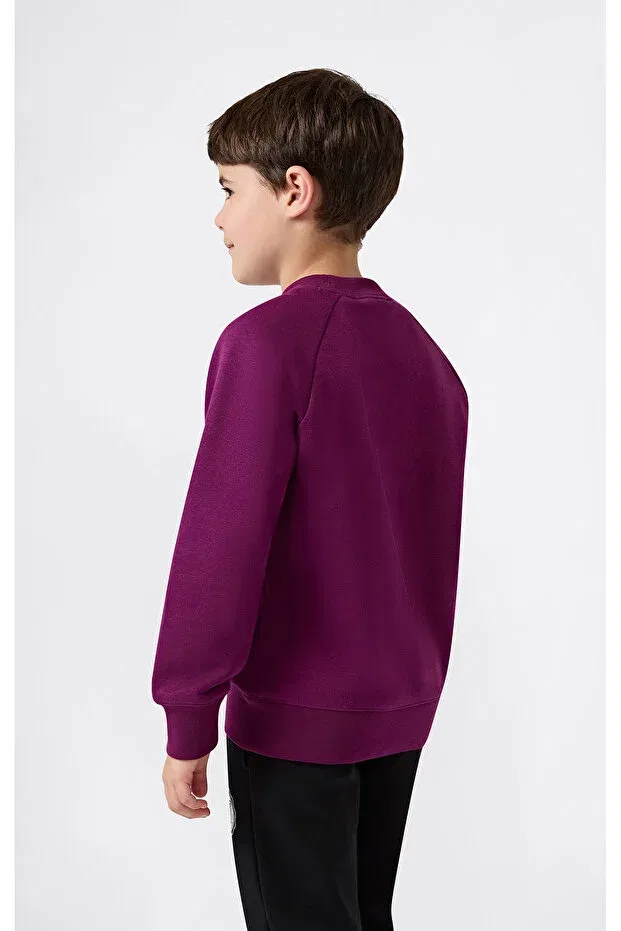 Детские свитшот для девочек с принтом State of play crewneck sweatshirt Champion, Pembe-36 — фото 2