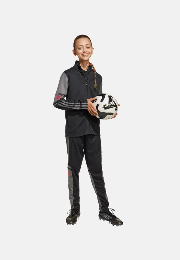 Спортивные штаны Adidas Performance Fussball teamsport squadra trainings tracksuit bottoms, черно-серые