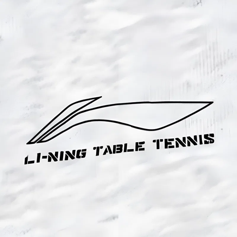 Детский комплект из худи и брюк с принтом Li-Ning — фото 4